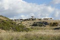 Free Sardinia Royalty Free Stock Photos - 929688