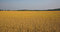 Free Field Of Grain Stock Photo - 924530