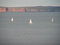 Free Sailing Club Stock Photo - 927760