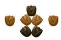 Free Chocolate Flowers Royalty Free Stock Photography - 9221937