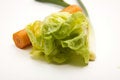 Free Vegetables Stock Images - 9228384