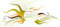 Free Creative  Background Stock Images - 9224294