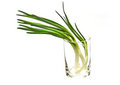 Free Green Onion As Background. Isolate Stock Images - 9243454