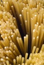 Free Spaghetti Stock Photo - 9244950