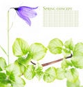Free Flora Stock Images - 9255274