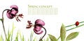 Free Flora And Ladybird Stock Photo - 9255380