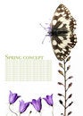 Free Butterfly And Flora Stock Image - 9256011