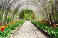 Free Beautiful Garden Stock Photos - 9257923