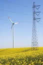 Free Wind Turbine And Yellow Rapeseed Royalty Free Stock Photography - 9257947