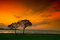 Free Sunset Royalty Free Stock Photo - 9255615