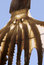 Free Japanese Octopus Drying Stock Photography - 9259142