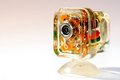 Free Synchro Eye Royalty Free Stock Photography - 9261947