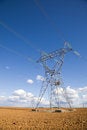 Free Electricity Pylon Royalty Free Stock Photo - 9262745