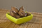 Free Pecan Nuts (Carya Illinoinensis). Royalty Free Stock Photos - 9265438