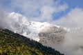 Free Snow In Spring Stock Images - 9272964