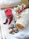 Free Spa Objects Royalty Free Stock Photo - 9287735