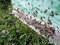 Free Before A Beehive. Royalty Free Stock Photo - 9287875