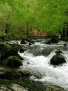 Free River In The Mountain Stock Photos - 9290243