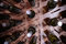 Free Wine Bottles On Wall Stock Photography - 9291672