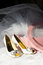 Free Wedding Shoes, Box And Veil Royalty Free Stock Photos - 9297648