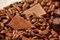 Free Harvest Of Coffee Stock Images - 9299454