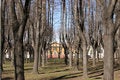 Free Walk Home Royalty Free Stock Image - 934126