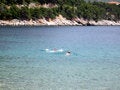 Free SWIM Stock Images - 935634