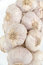 Free Garlic Stock Photography - 935772