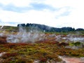 Free Geothermal Activity Of Hell S Gate, New Zealand Royalty Free Stock Photography - 9305627