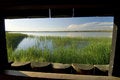 Free Hide Stock Photo - 9306480