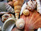 Free Seashells Royalty Free Stock Photography - 9302997