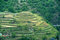 Free Stepped Hill Royalty Free Stock Photography - 9303517