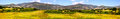 Free Meadow Royalty Free Stock Photo - 9314195