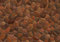 Free Stone Wall Royalty Free Stock Photo - 9319265