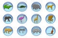 Free Wild Animals Icons Royalty Free Stock Photography - 9329977