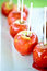 Free Food Stock Image - 9326191