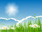 Free Summer Vector Stock Image - 9335791