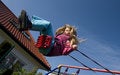 Free Girl On Swing Stock Photos - 9340773