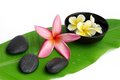 Free Spa Still Life Royalty Free Stock Photo - 9349855