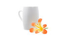 Free White Cup With Flower Royalty Free Stock Photography - 9350097