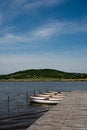 Free Lake Inside In Tihany Royalty Free Stock Photography - 9351327