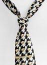 Free Tie With A Clip Royalty Free Stock Photo - 9359955