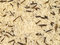 Free Wild Rice With Steamed Rice Royalty Free Stock Image - 9356016