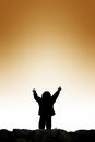 Free Boy Raising His Hands Royalty Free Stock Images - 9364029