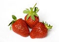 Free Strawberries Isolated Over White Stock Images - 9368144