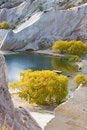 Free Golden Trees By Lake Royalty Free Stock Photography - 9368877