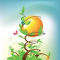 Free Green Spring And Sphere Royalty Free Stock Photography - 9375967