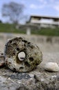 Free Sea Rocks Stock Images - 9378124
