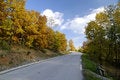 Free Colors Of Autumn Royalty Free Stock Photo - 9384415