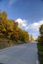Free Road In Autumn Royalty Free Stock Photos - 9384418